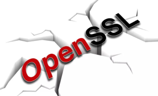 OpenSSL�����徲���£������޸���Ʒ�е�2���徲���.png