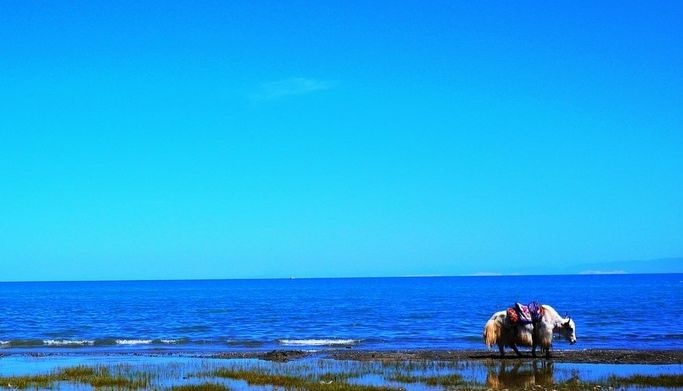 �Ϲ�NG����(�й�)�ٷ���վ