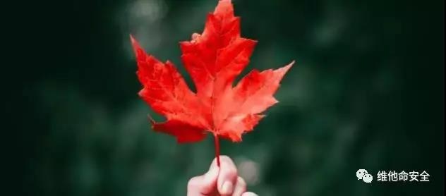 �Ϲ�NG����(�й�)�ٷ���վ