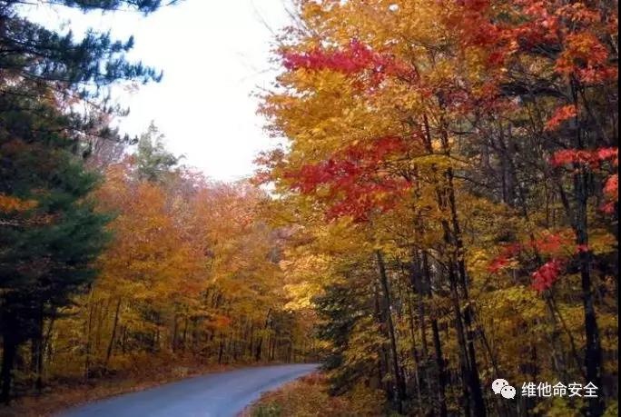 �Ϲ�NG����(�й�)�ٷ���վ