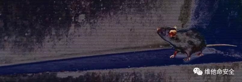 �Ϲ�NG����(�й�)�ٷ���վ