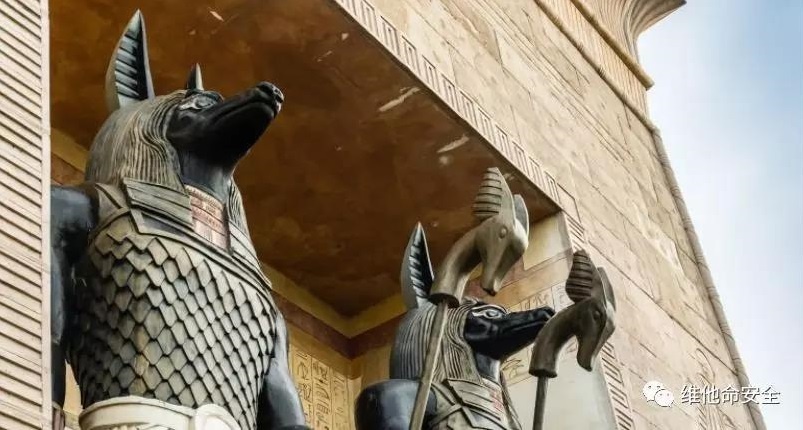 �Ϲ�NG����(�й�)�ٷ���վ