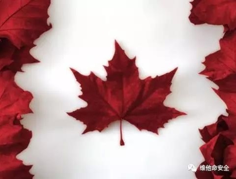 �Ϲ�NG����(�й�)�ٷ���վ