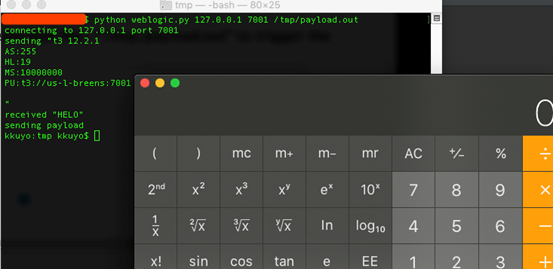 �Ϲ�NG����(�й�)�ٷ���վ
